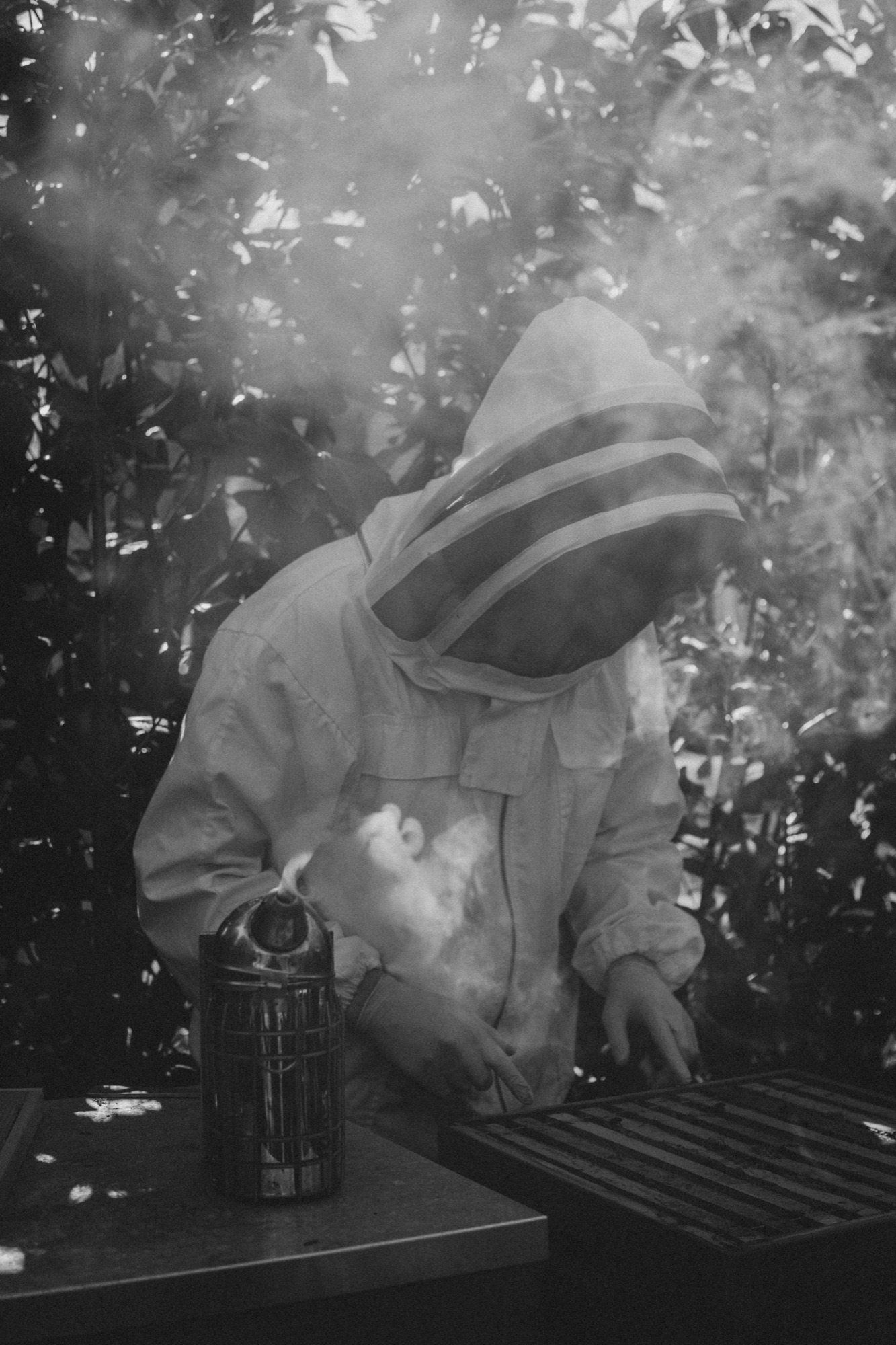 The Keeper, selected photograph 5