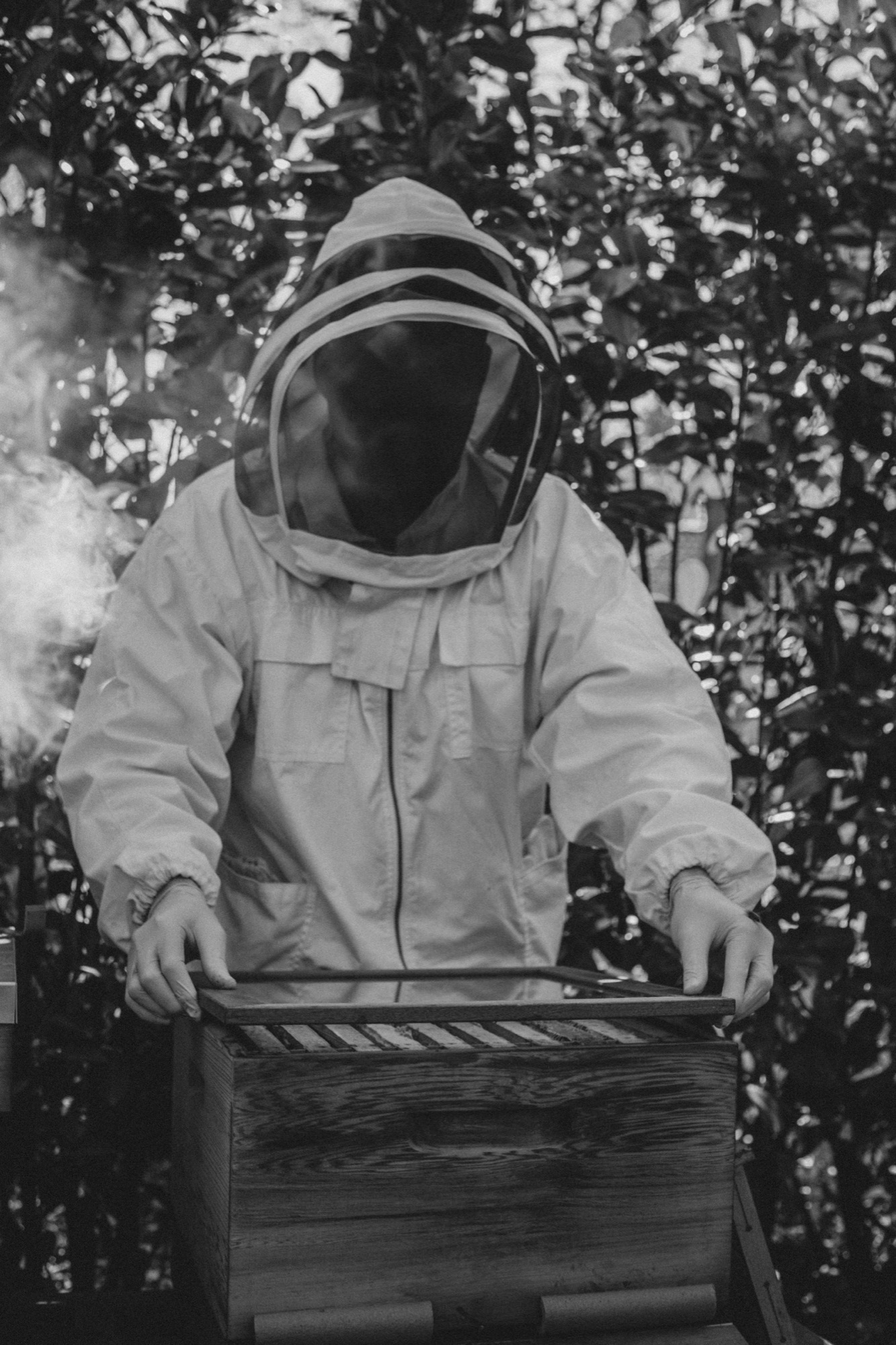 Beekeeper closing a hive in black and white